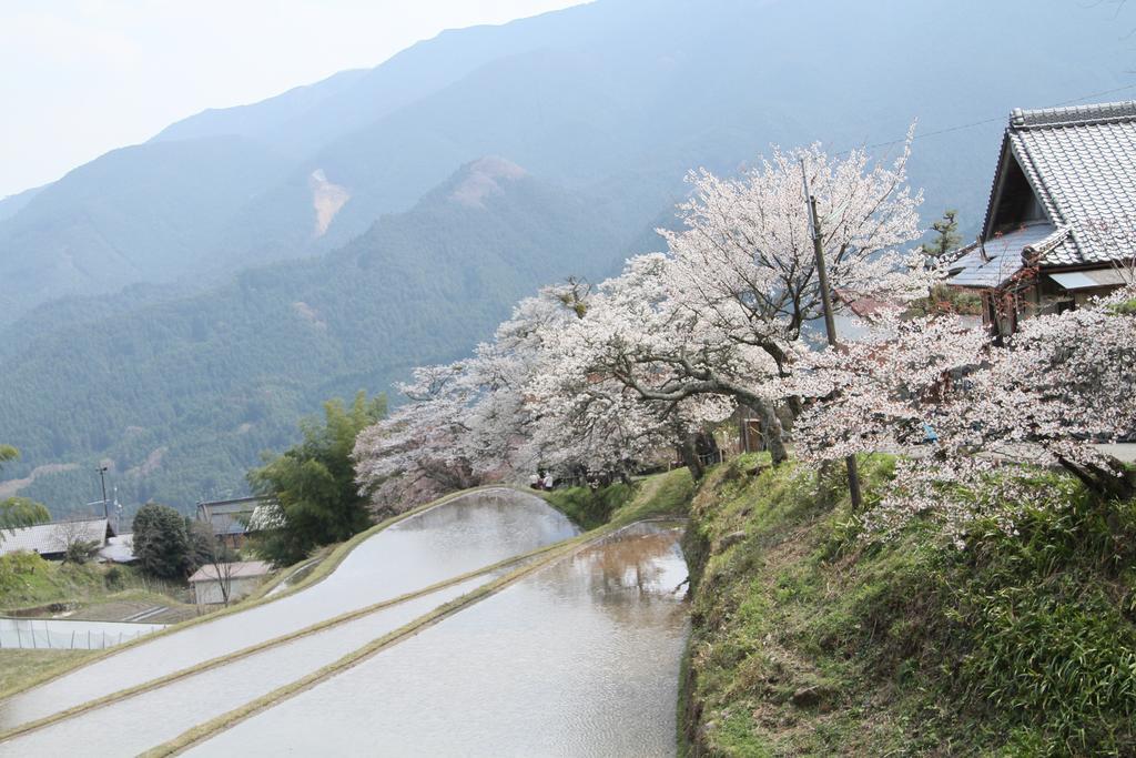 Miyako City Tsu Hotell Eksteriør bilde